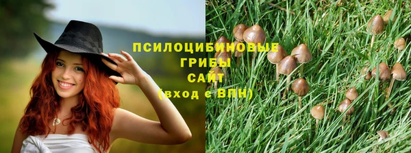 мескалин Аркадак