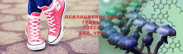 мескалин Аркадак
