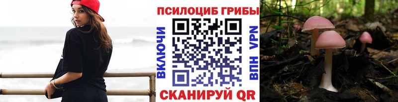 Галлюциногенные грибы мицелий omg онион Павлово
